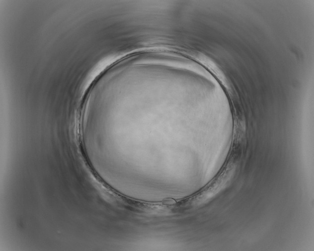 X0000112411101200909251451