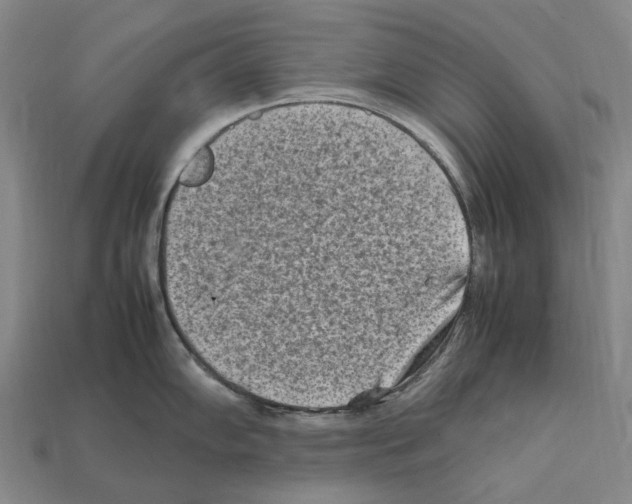 X0000112411102200909251450