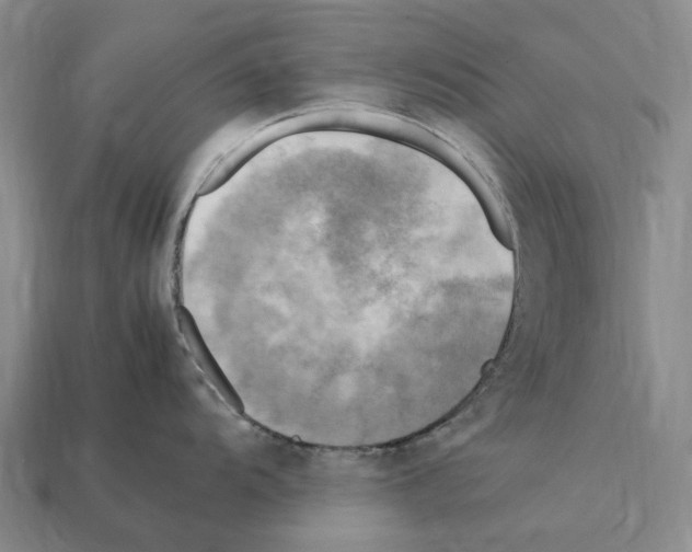 X0000112411104200909251450