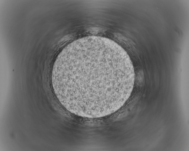 X0000112411105200909251450