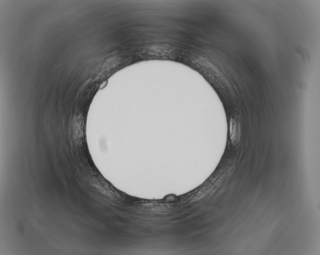 X0000112411107200909251450