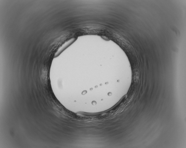 X0000112411108200909251450