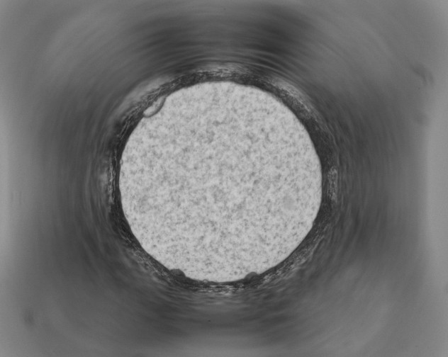 X0000112411111200909251450