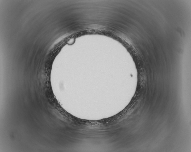 X0000112411112200909251450