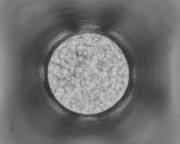 X0000112411113200909251450