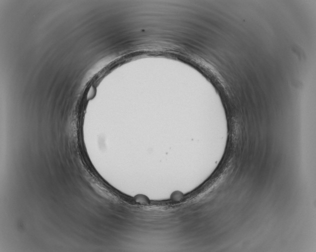 X0000112411114200909251450