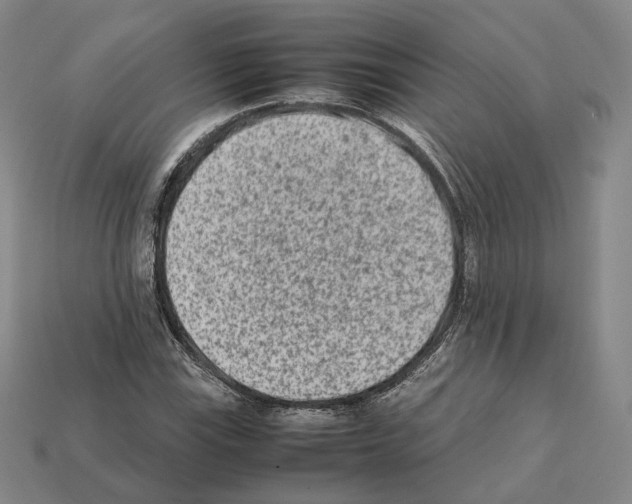 X0000112411115200909251450