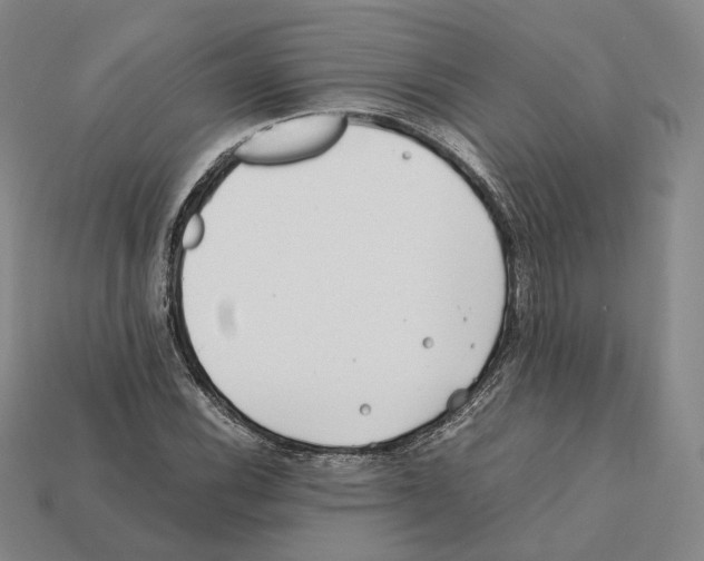 X0000112411116200909251450