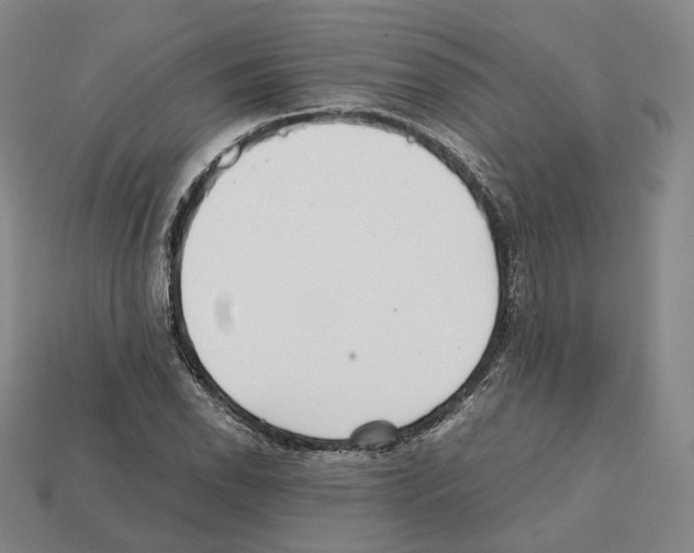 X0000112411118200909251450