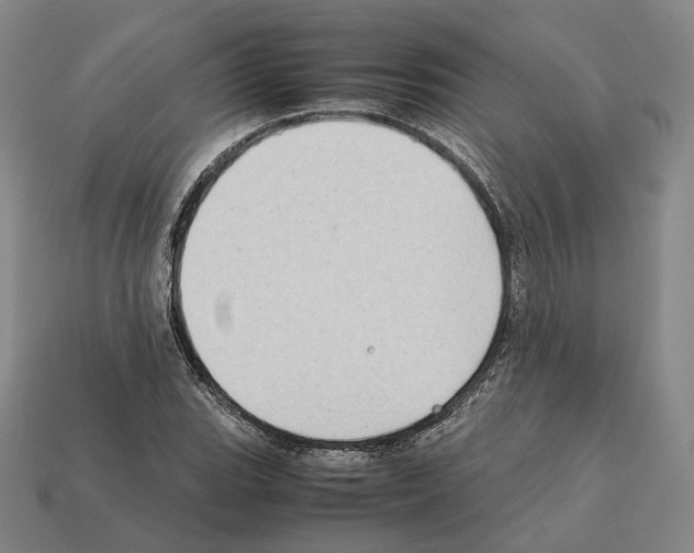 X0000112411119200909251450