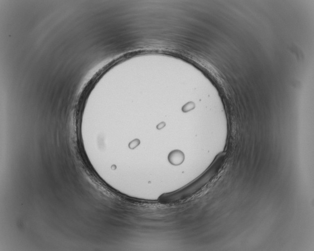 X0000112411120200909251450
