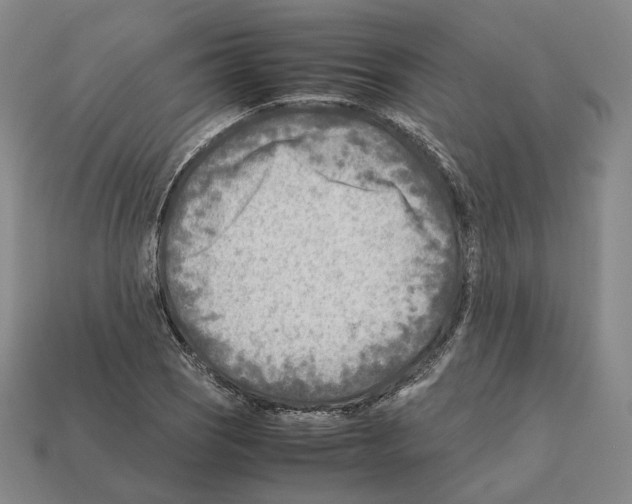 X0000112411121200909251450