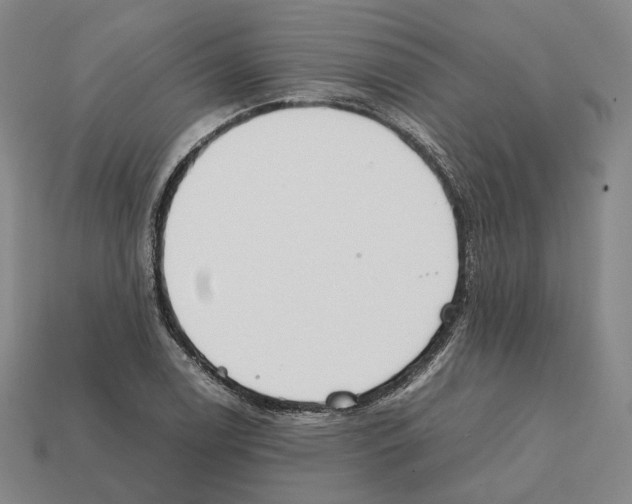 X0000112411122200909251450