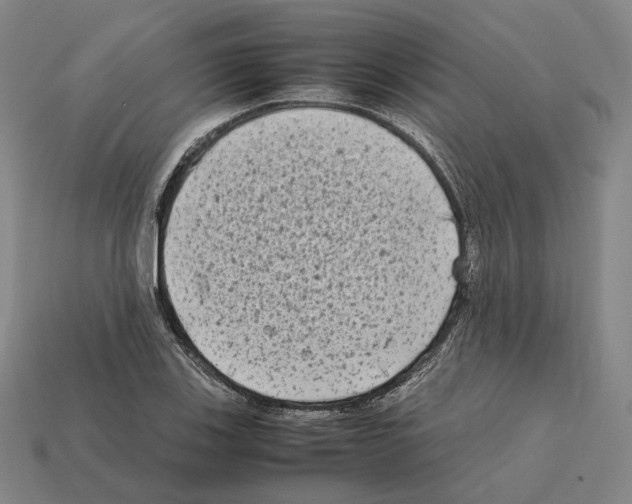 X0000112411123200909251450