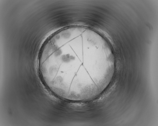 X0000112411125200909251450