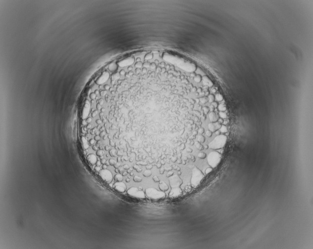 X0000112411126200909251450
