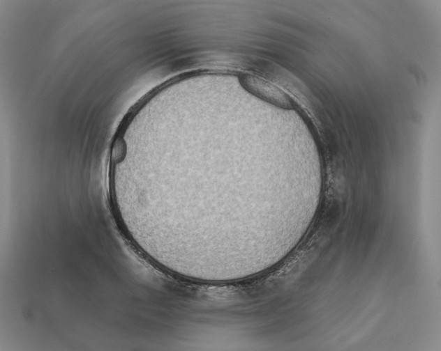 X0000112411128200909251450