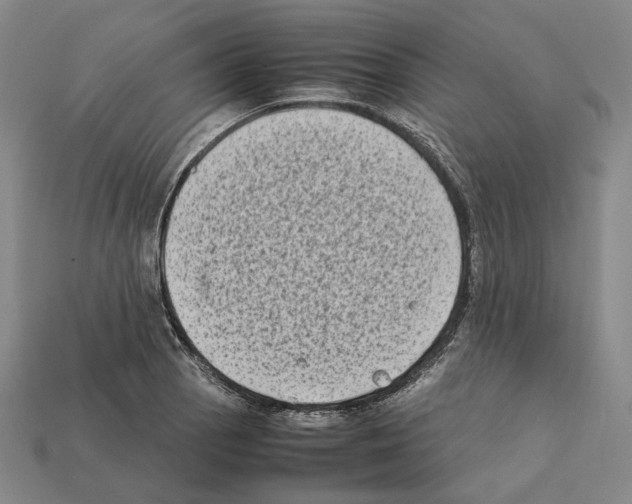 X0000112411129200909251450