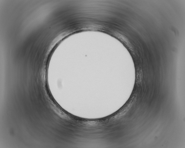 X0000112411130200909251450