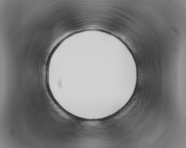 X0000112411134200909251450