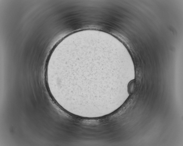 X0000112411135200909251450