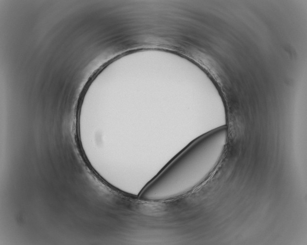 X0000112411136200909251450