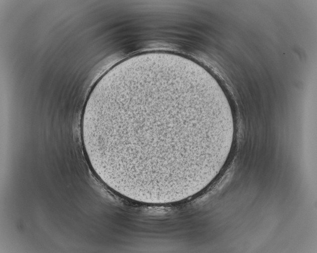 X0000112411137200909251450