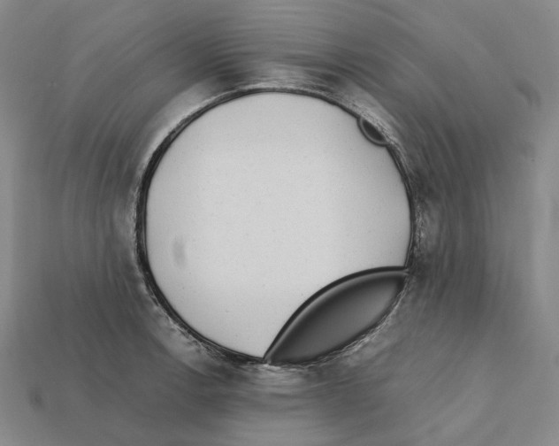 X0000112411138200909251450