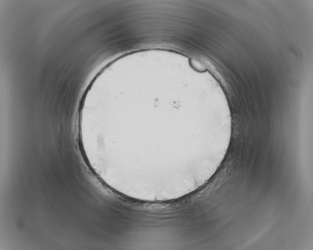 X0000112411140200909251450