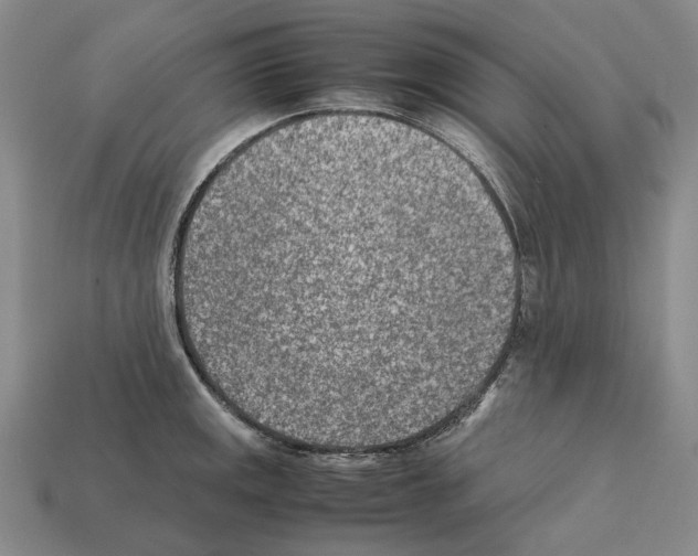X0000112411141200909251450