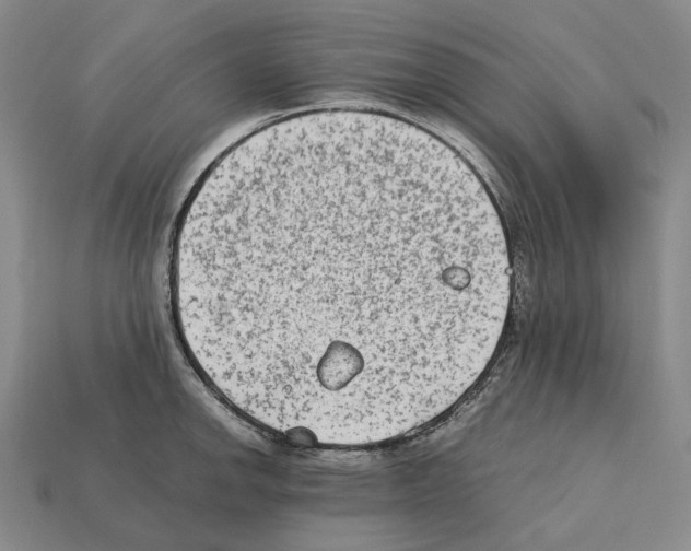 X0000112411142200909251450