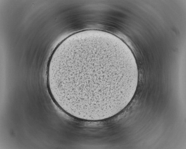 X0000112411143200909251450