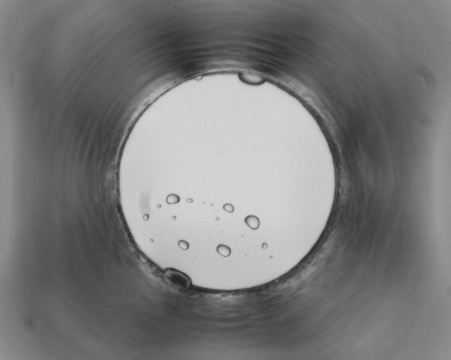 X0000112411145200909251450