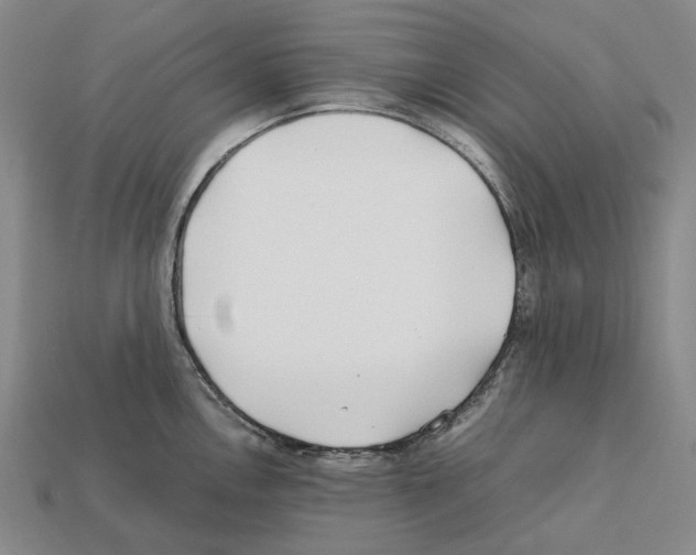 X0000112411146200909251450