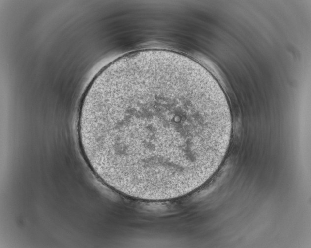 X0000112411149200909251450