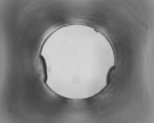 X0000112411152200909251450
