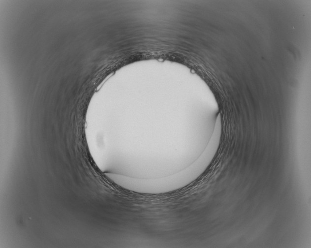 X0000112411153200909251450