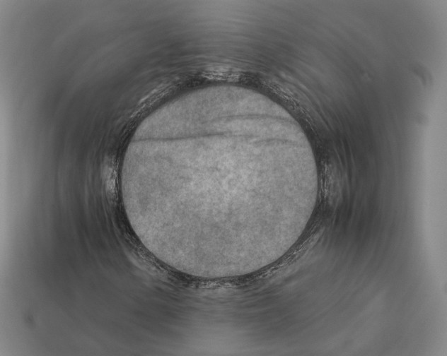 X0000112411154200909251450