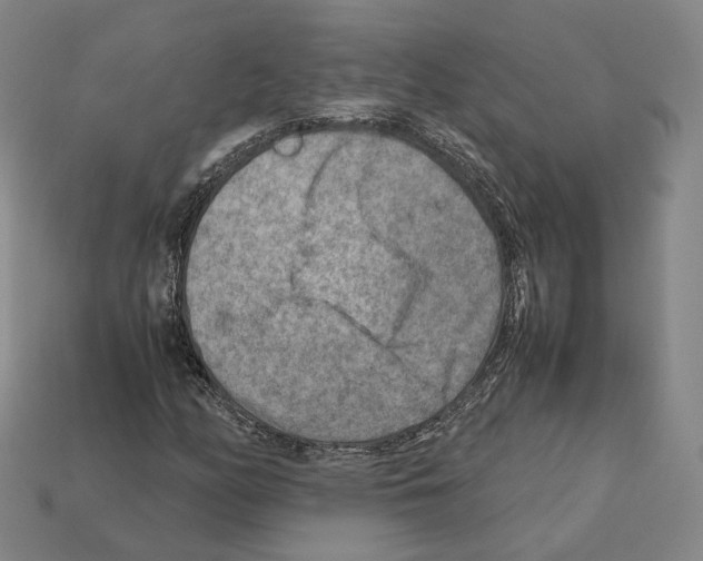 X0000112411158200909251450