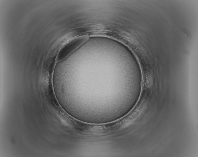 X0000112411161200909251450