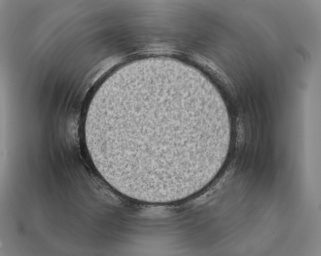 X0000112411162200909251450