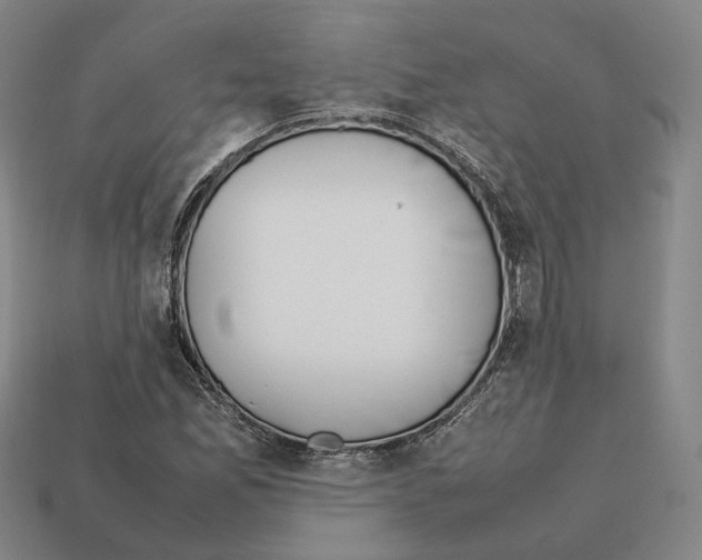 X0000112411165200909251450