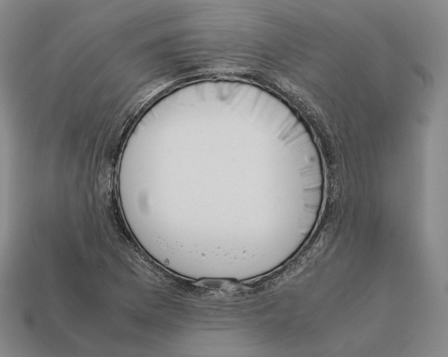 X0000112411169200909251450