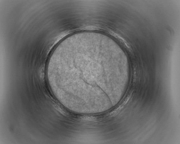 X0000112411170200909251450