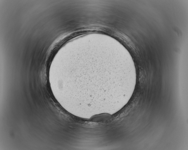 X0000112411172200909251450