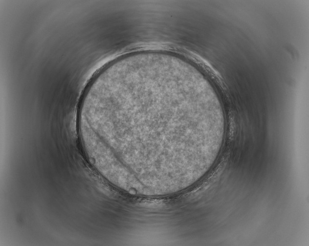 X0000112411174200909251450