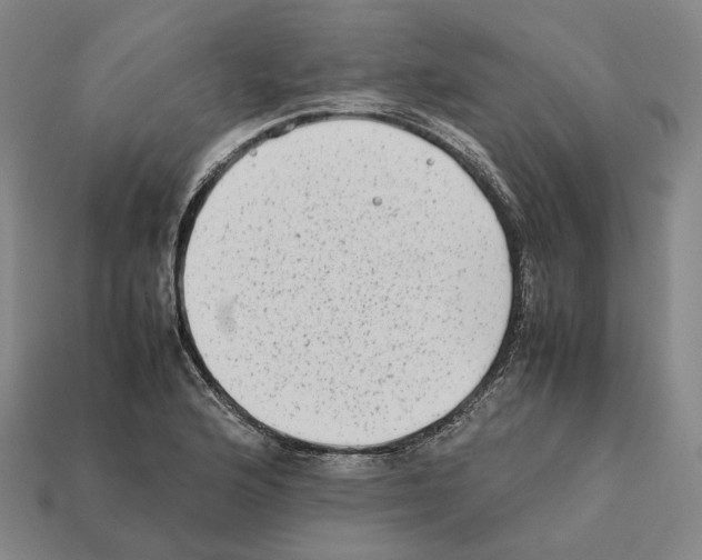 X0000112411176200909251450