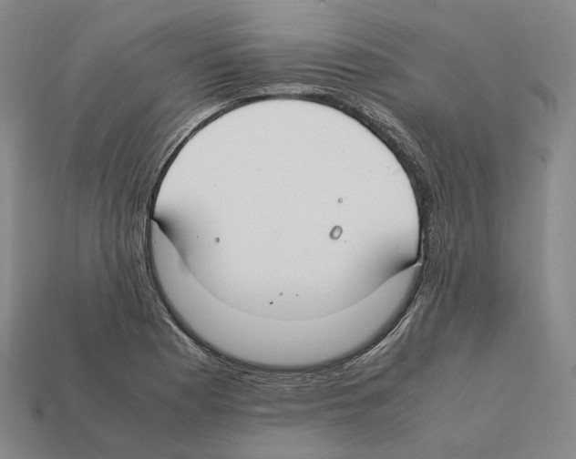 X0000112411177200909251450
