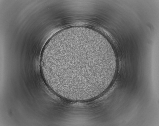 X0000112411178200909251450