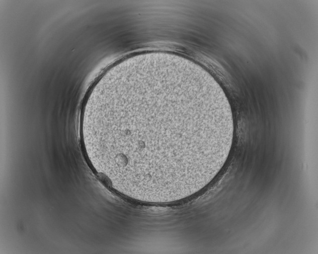 X0000112411180200909251450